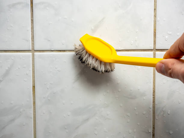 Best Post-Flood Mold Remediation in Germantown, TN