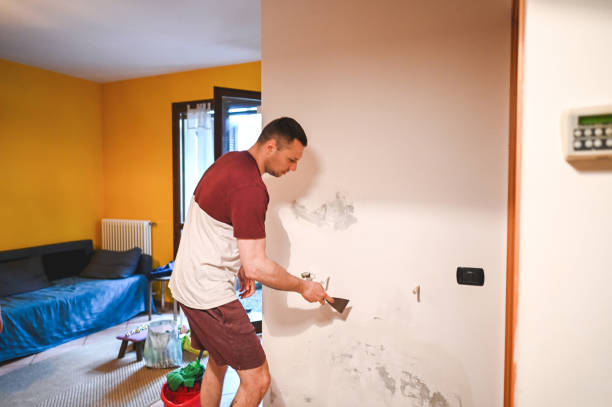 Best Attic Mold Remediation in Germantown, TN